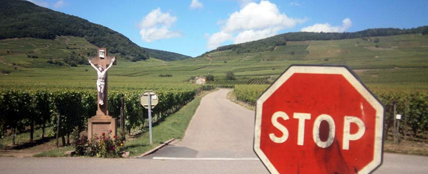 Cycling and wine tasting in France's Alsace region with Sherpa Expeditions