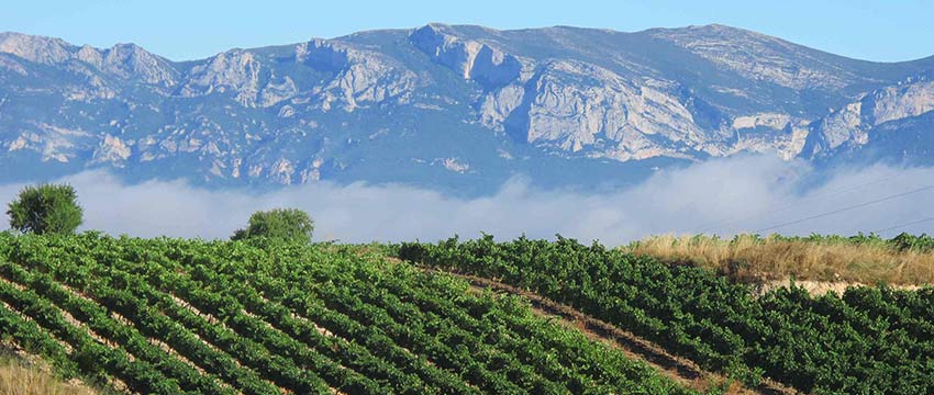 Walking and cycling holidays near Rioja vineyards with Sherpa Expeditions
