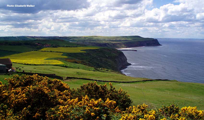 Cleveland Way Coastline