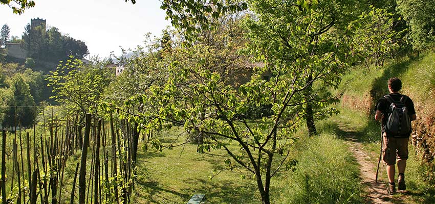 hiking through farmland in Apuane Alps - Sherpa walking holidays