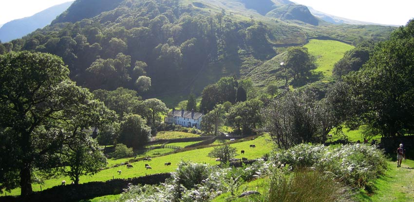 Borrowdale on the Coast to Coast Walk, UK - Sherpa Expeditions