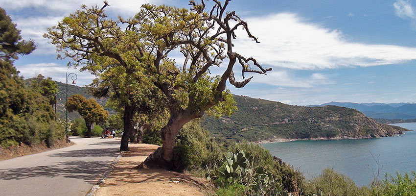 Near Ajaccio, Corsica_Sherpa Expeditions walking in France