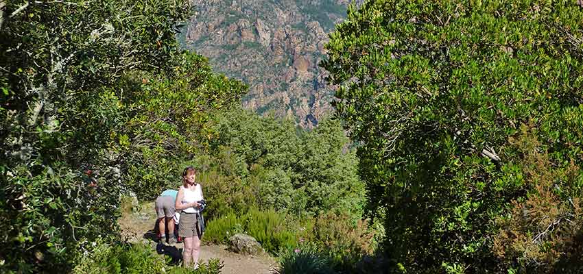Corsica walking holidays - Sherpa Expeditions