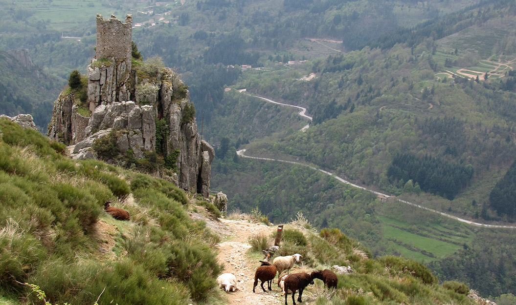 Sherpa Expeditions_Country Walking Holidays_Cevennes France
