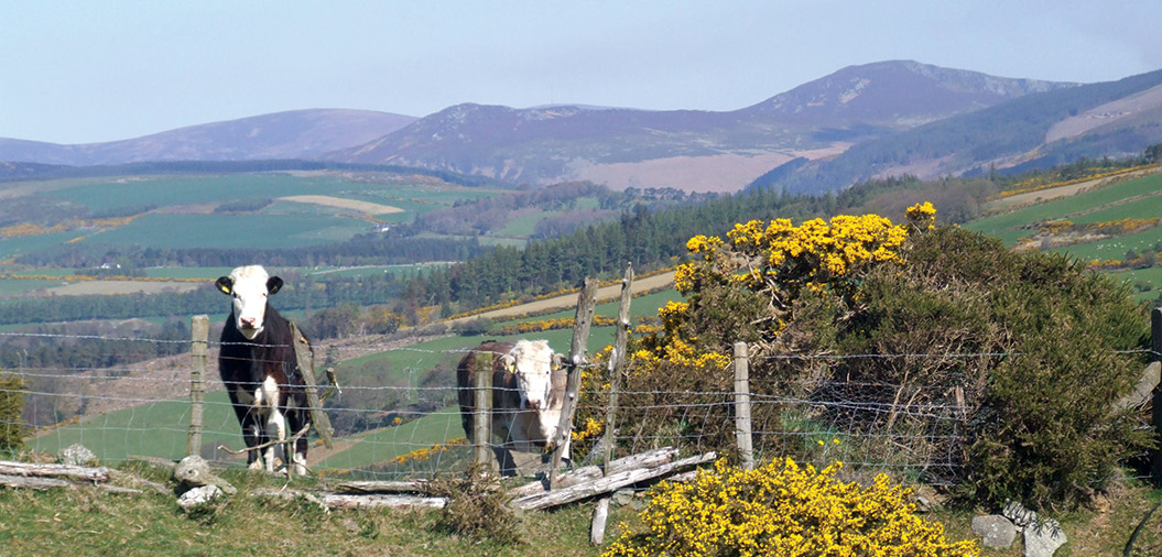 Sherpa Expeditions_Country Walking Holidays_Wicklow Way Ireland