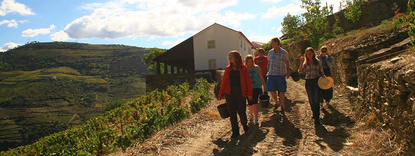 douro valley walking holidays - sherpa expeditions