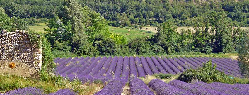 active south of france holidays_Provence