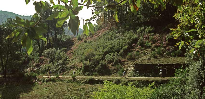 south of france holidays_Cevennes