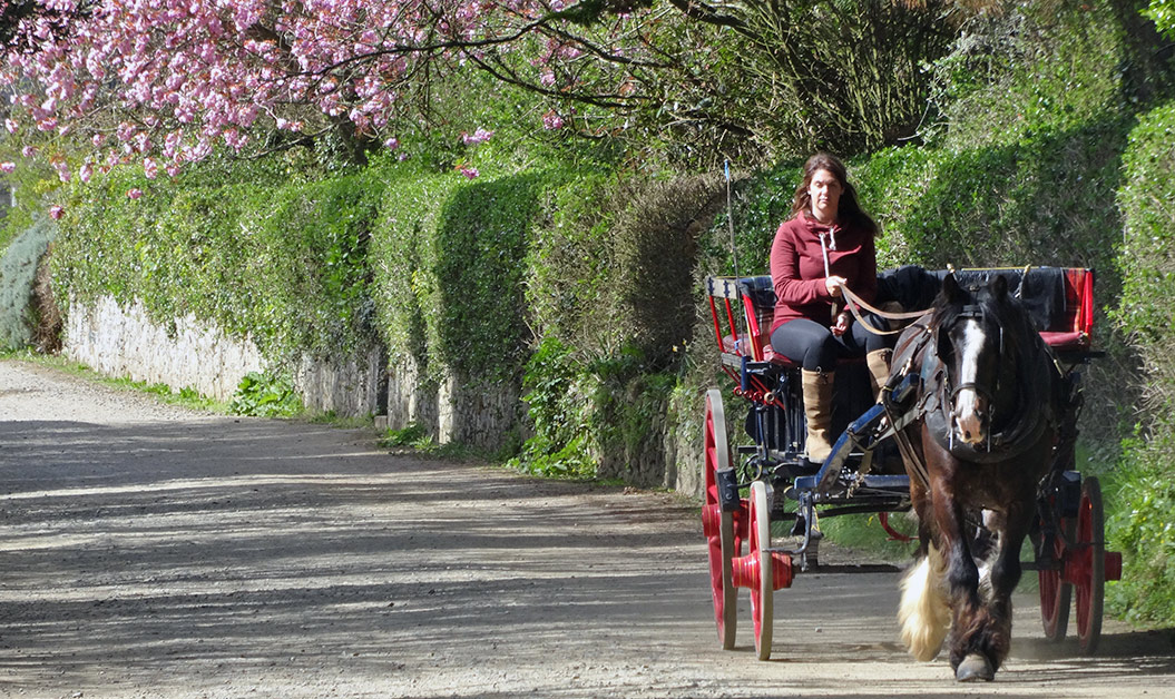 Local transportation on Guernsey, Channel Islands - Sherpa Expeditions walking holidays