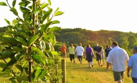 Image from http://www.haywoodfarmcider.co.uk/