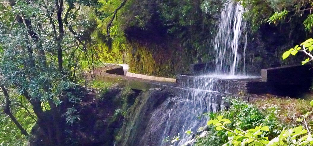 Explore Madeira levada dos Tornos