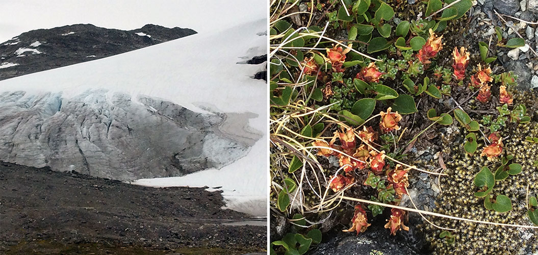 glacier on a hike in Norway fjordland - Sherpa Expeditions
