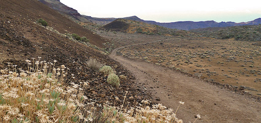 Waymarked trails in Tenerife for walking - Sherpa Expeditions