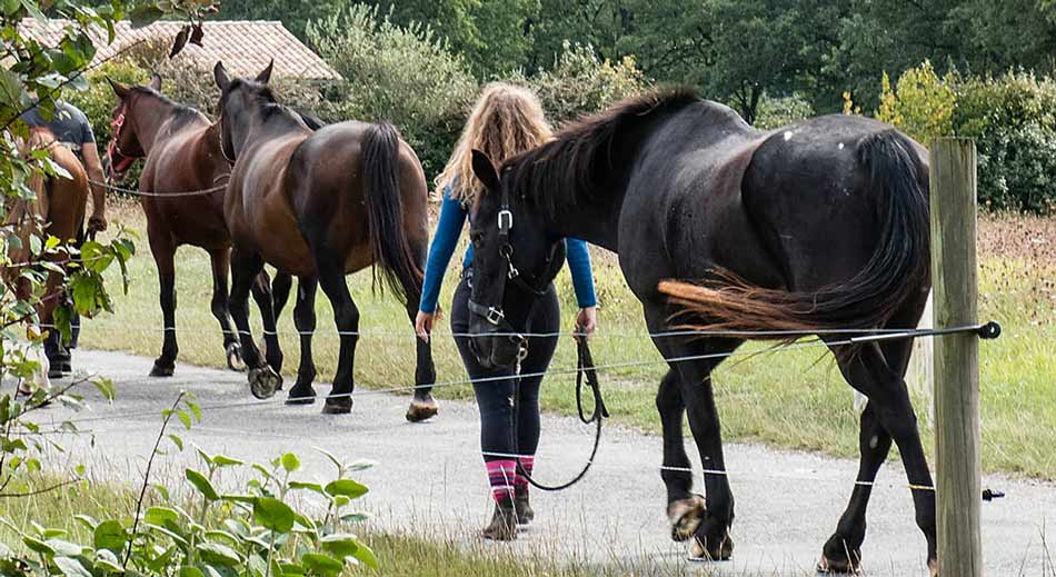 locals-walking-holidays-in-France-with-Sherpa-Expeditions