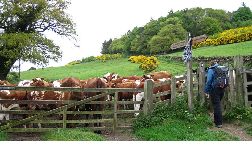 English lake district pictures_Osmotherley_Sherpa Expeditions