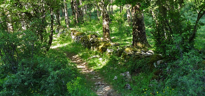 Ancient trails of Cathars, French Pyrenees - Sherpa Walking Holidays