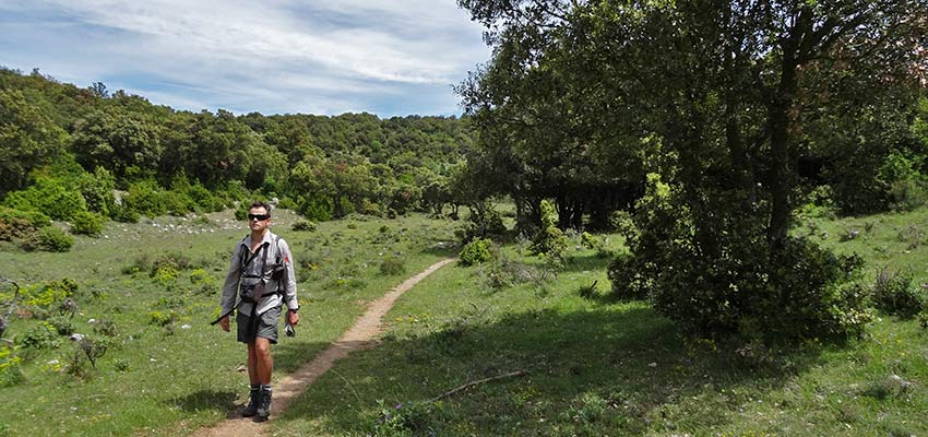 Ancient trails of Cathars, French Pyrenees - Sherpa Walking Holidays