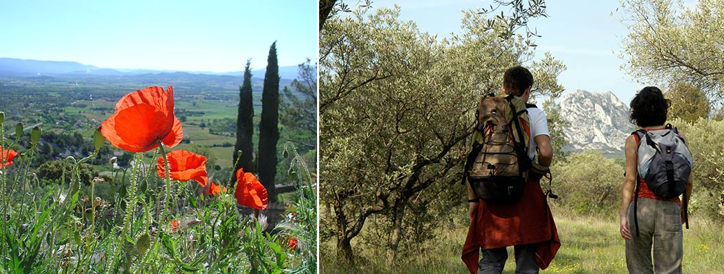 things to do in provence - Sherpa Expeditions