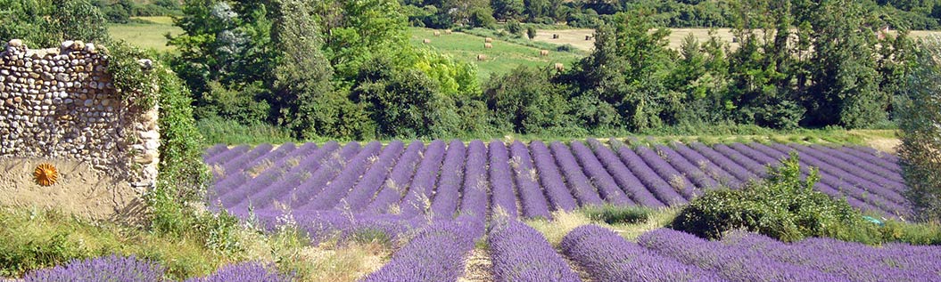 provence holidays on foot with Sherpa Expeditions