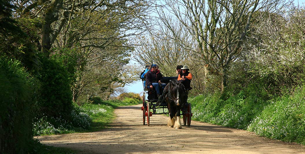 Sark - Channel Island Way, Sherpa Expeditions walking holidays