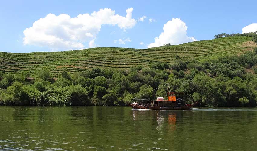Douro Valley river cruise