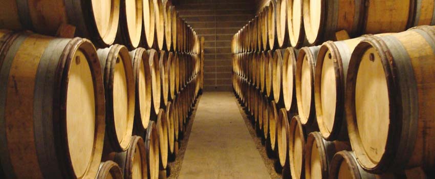 Burgundy, France Grape Harvest walking holidays with Sherpa Expeditions