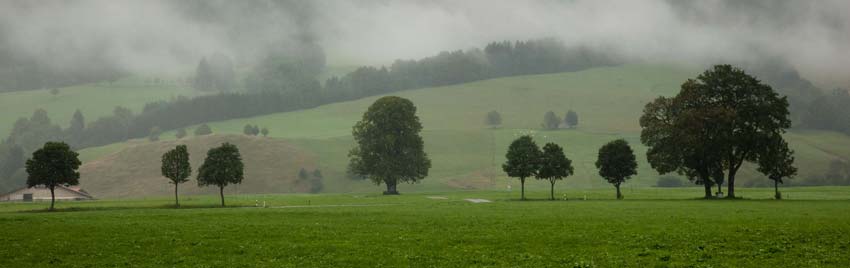 Walking through misty green Bavarian countryside.
