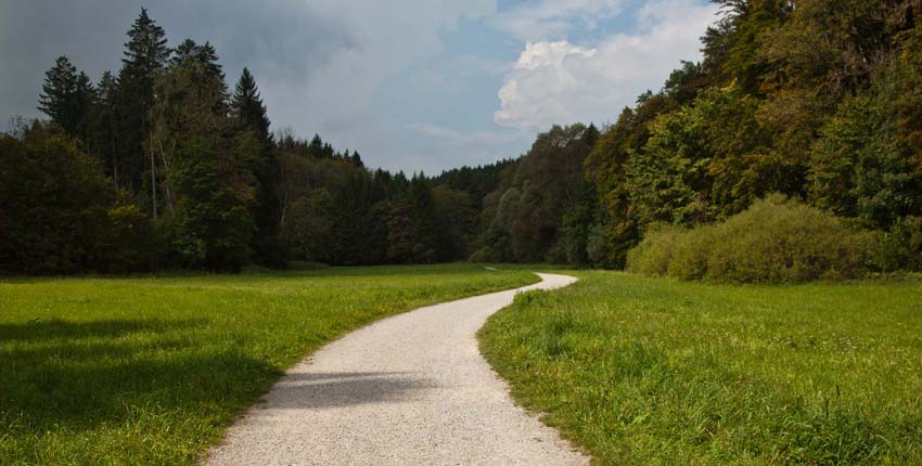 Heading into the woods from Starnberg.