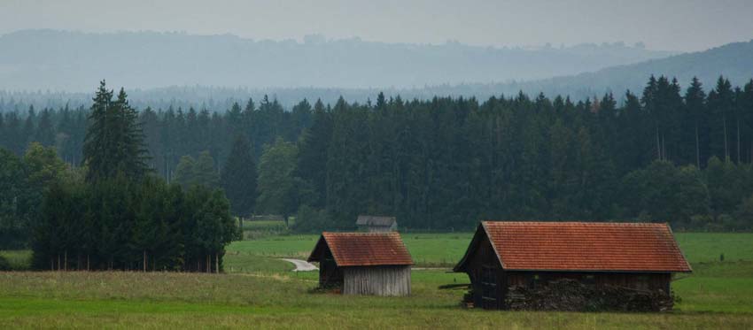 Walking through the fields of Bavaria.