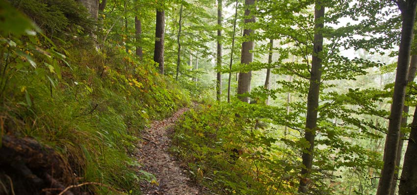 Walking along Bavaria's Grand Canyon
