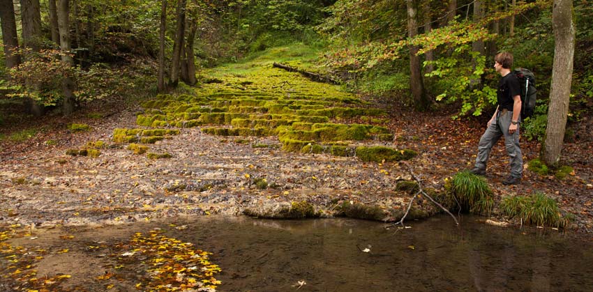 Limestone terrace covered in moss.