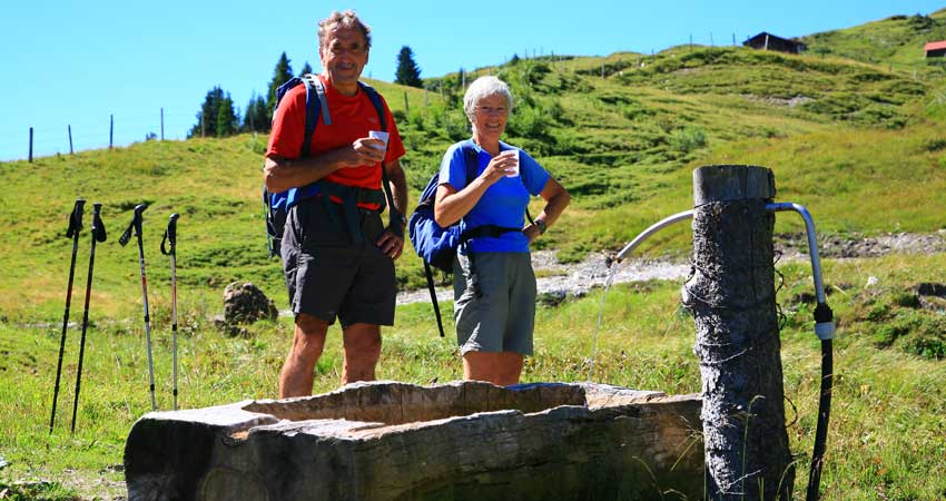 Self-Guided Walking in Switzerland
