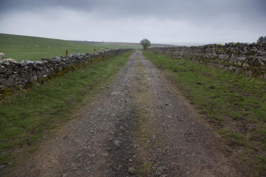 Following the farm tracks on Coast to Coast Walk