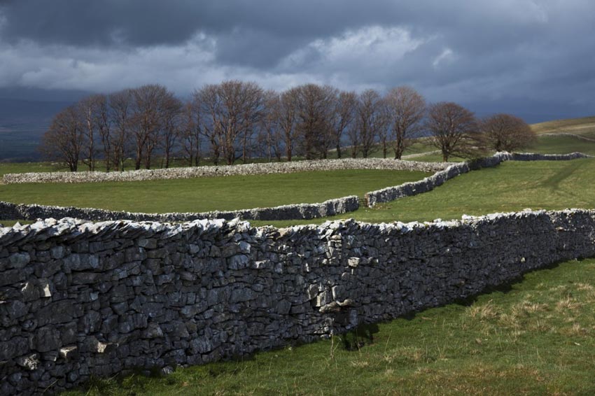 Following the walls on Smardale Fell on Coast to Coast Walk