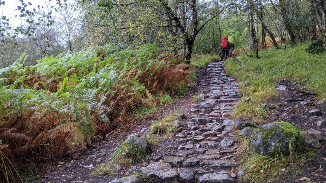 Day 8 on the West Highland Way from Kinlochleven to Fort William |  <i>Tom Riddle</i>